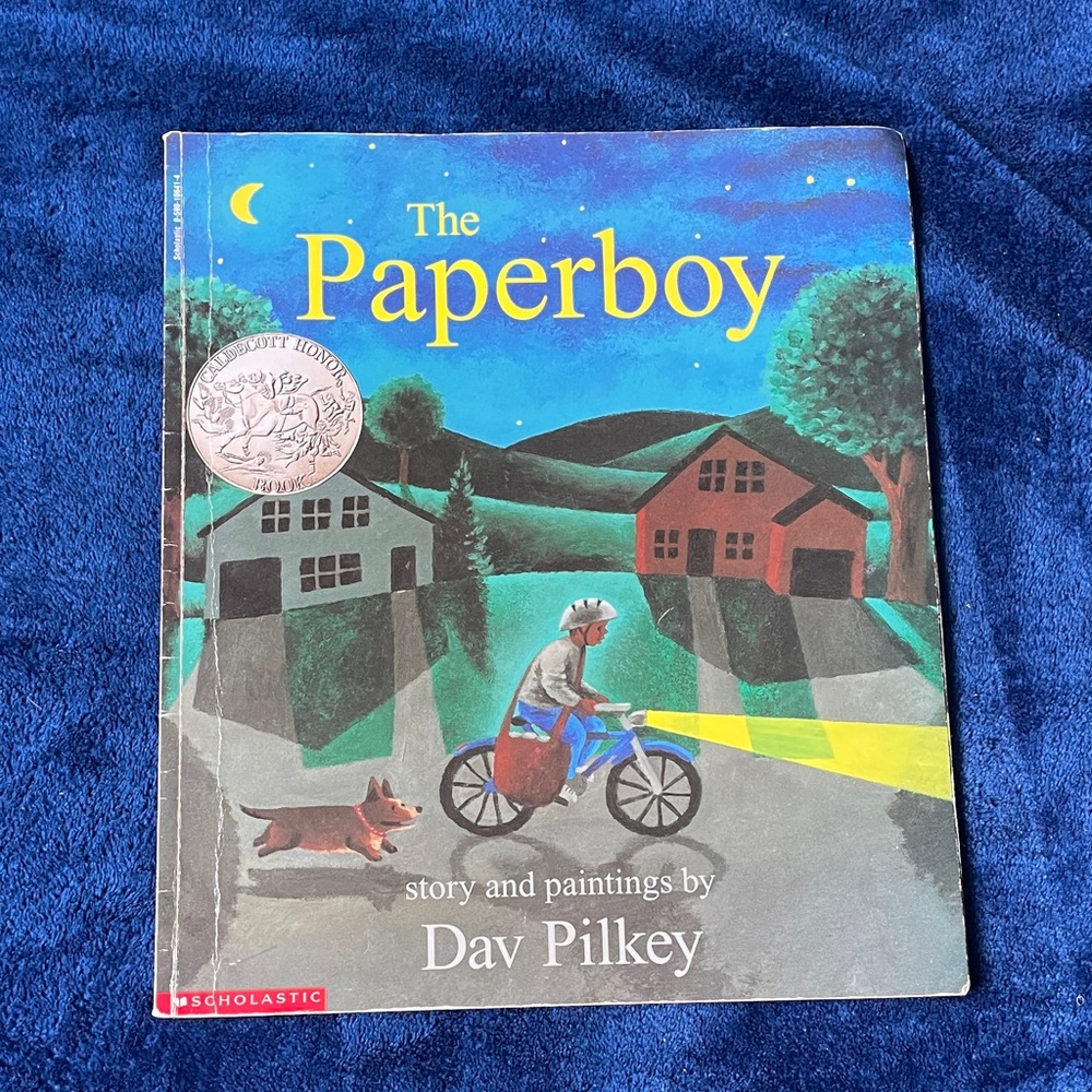 Scholastic The Paperboy Book - Blue and Green Cover